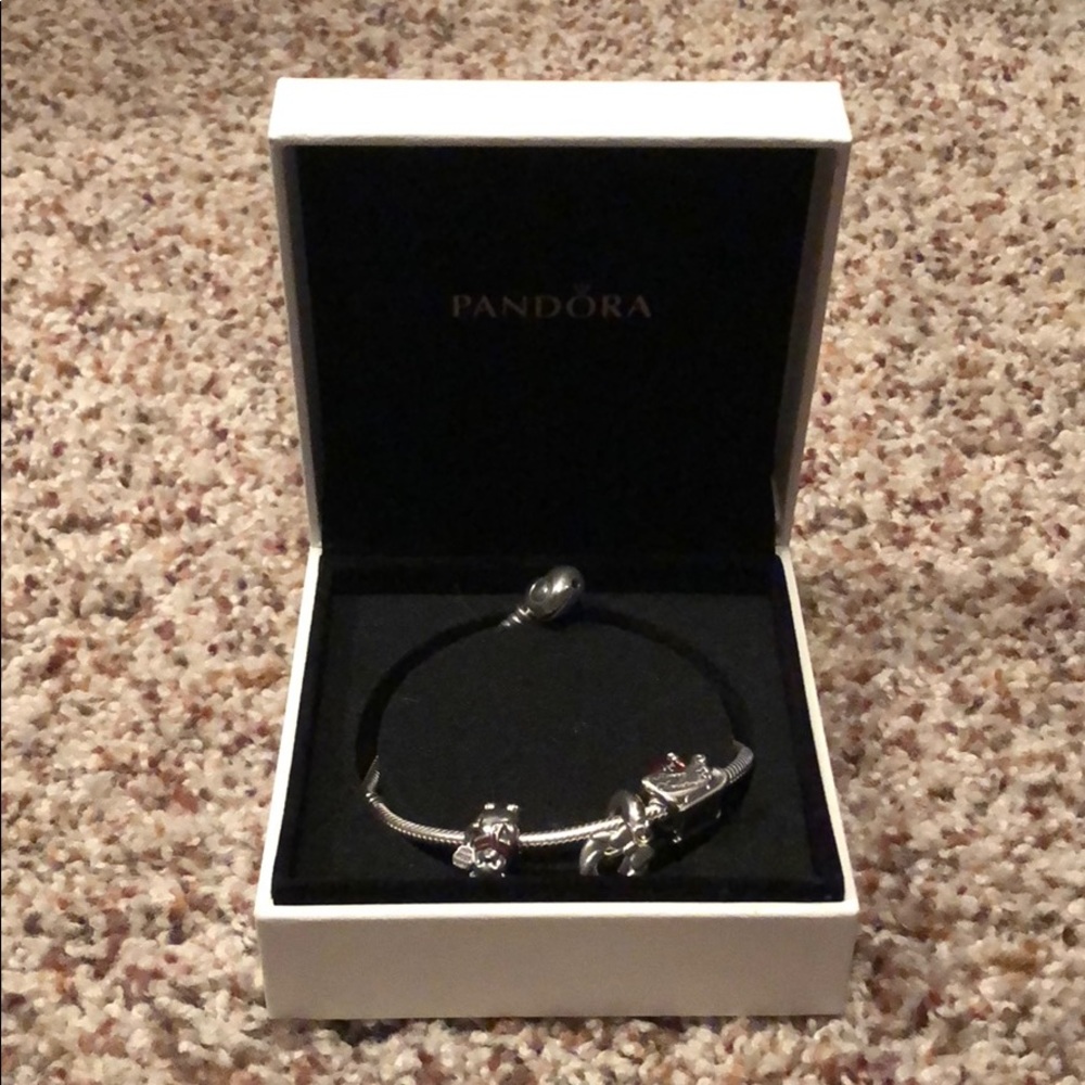 Pandora bracelet